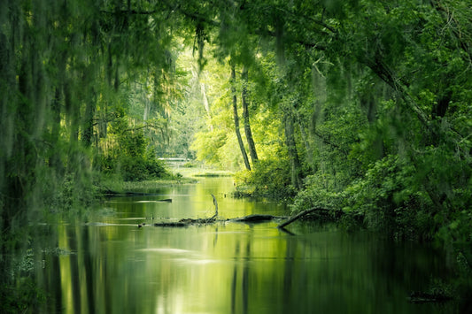 Sustainability